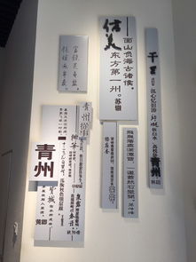 新春齊魯行 天鵝與古城的約會